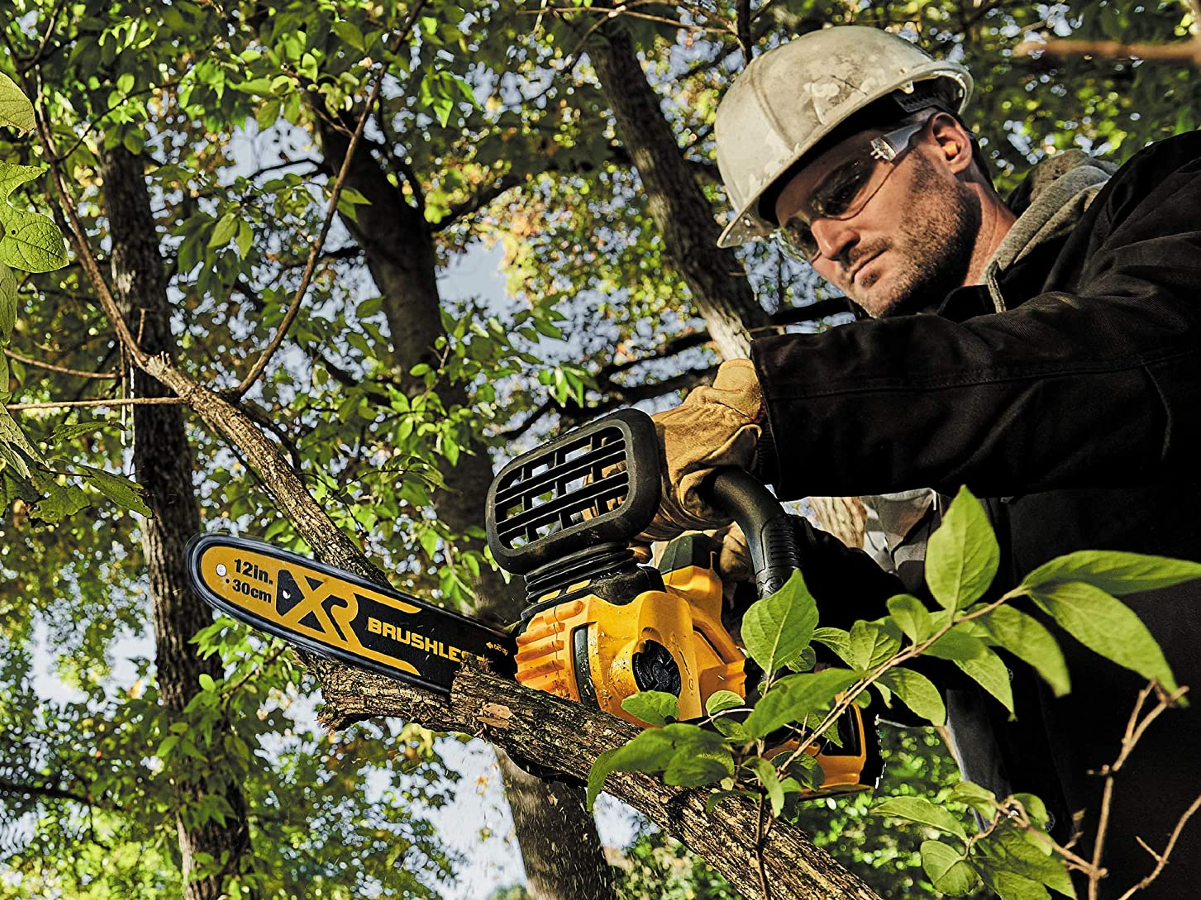 Dewalt 18v xr online chainsaw