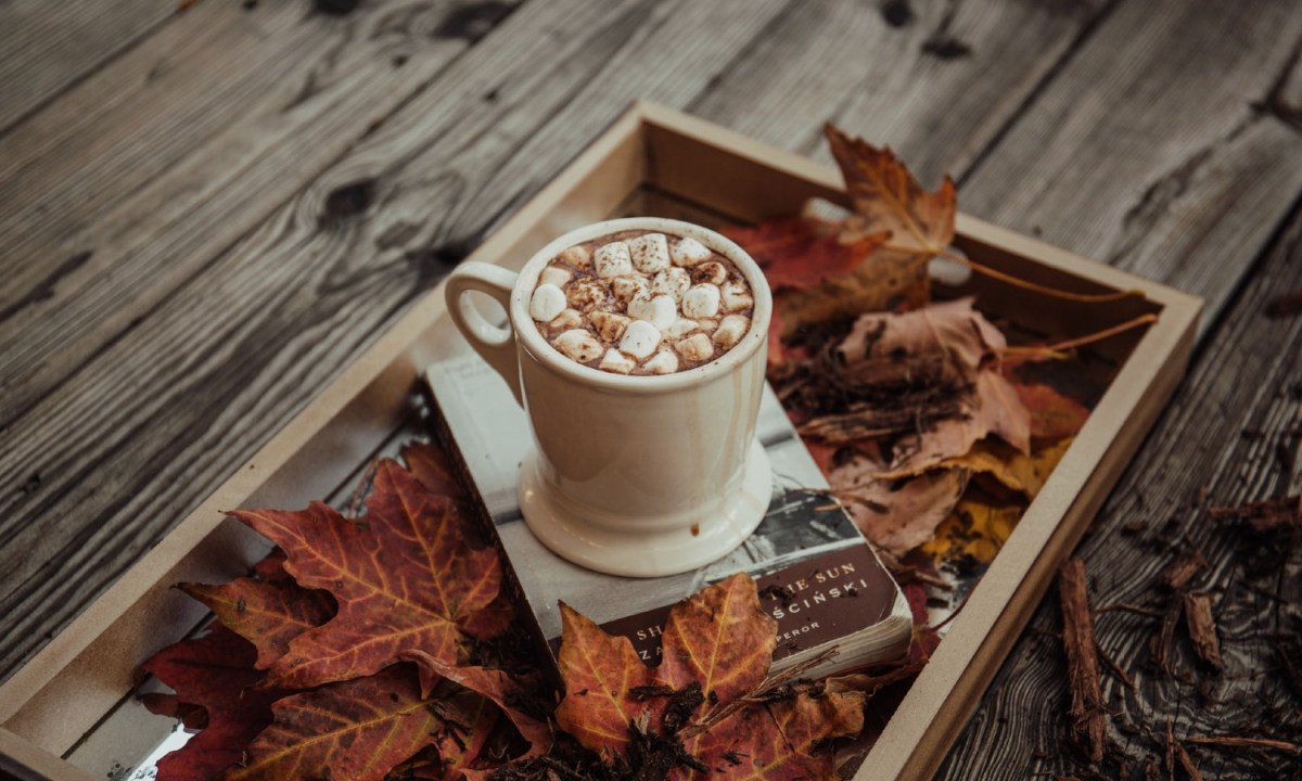 Hot chocolate with marshmallows on a tray.