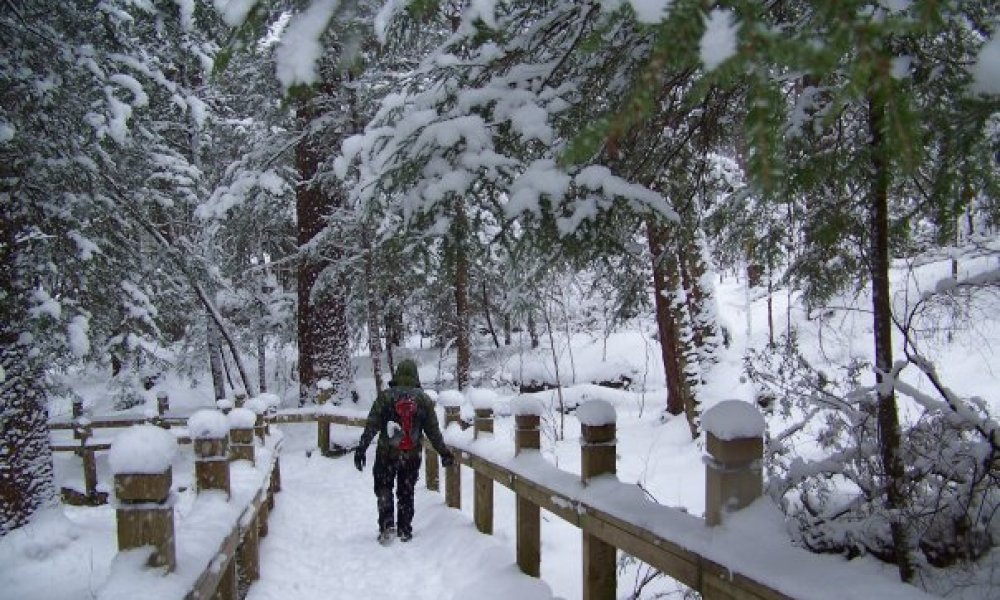 Hiker in the snow.