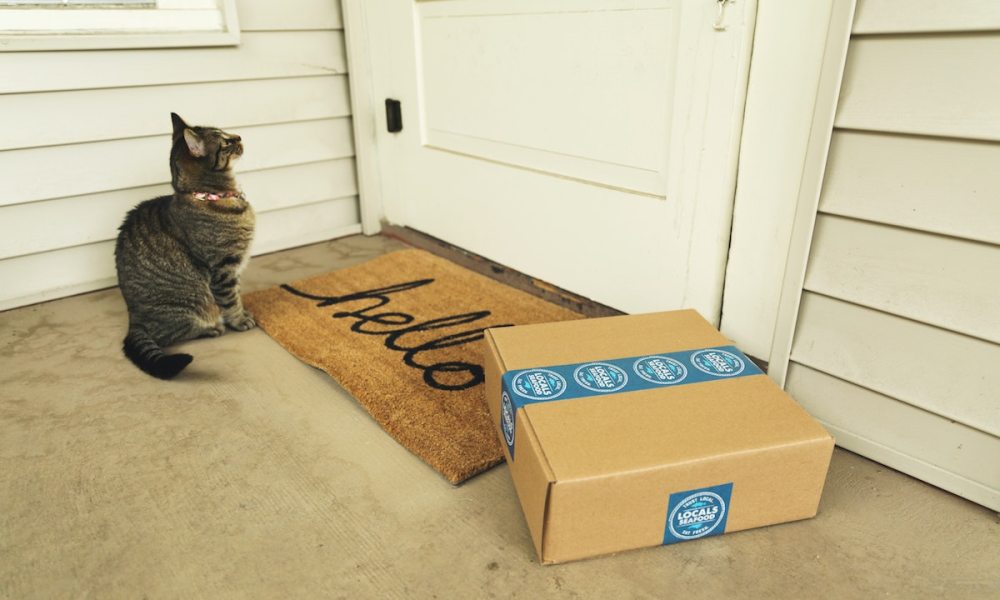 A cat near a "Hello" Doormat" and a subscription box patiently waits for the door to open.