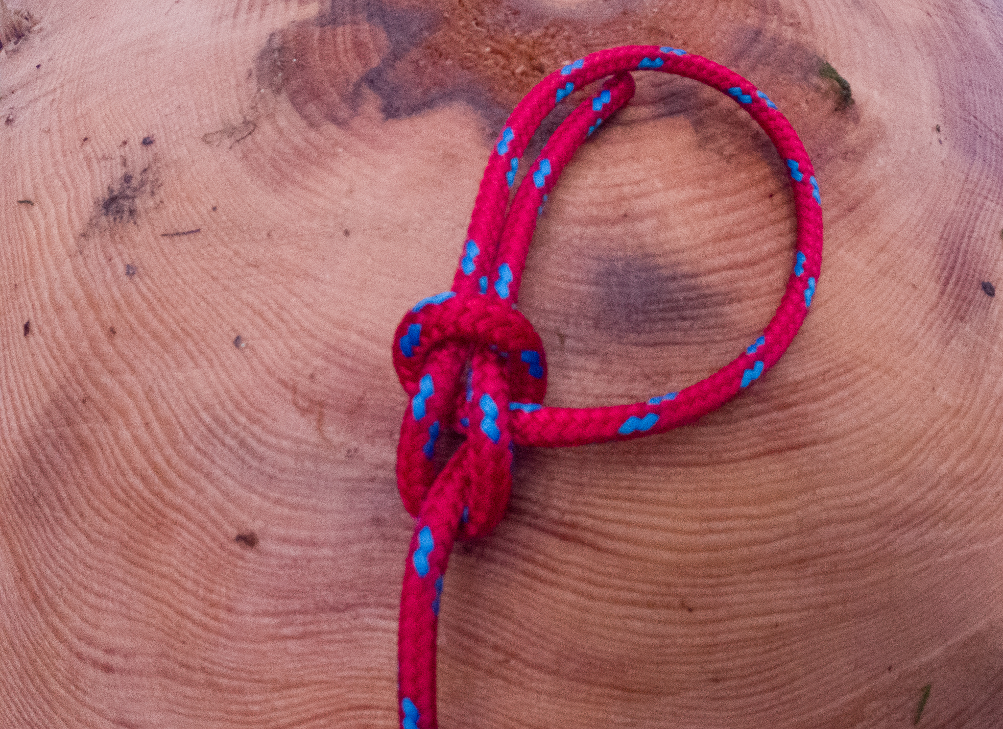 How to Tie a Bowline Knot 