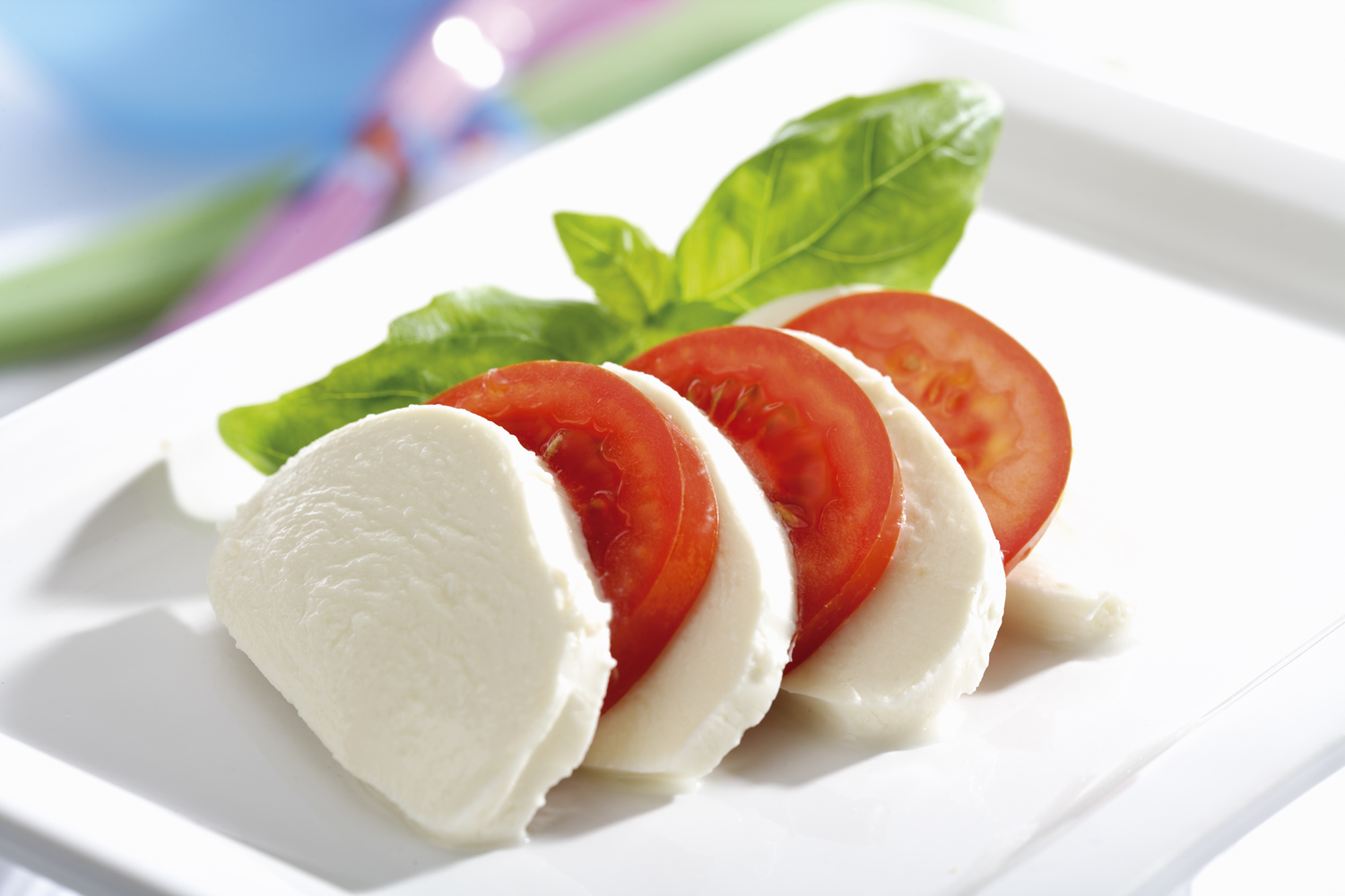 Mozzarella cheese slices with tomatoes and herbs on a plate.