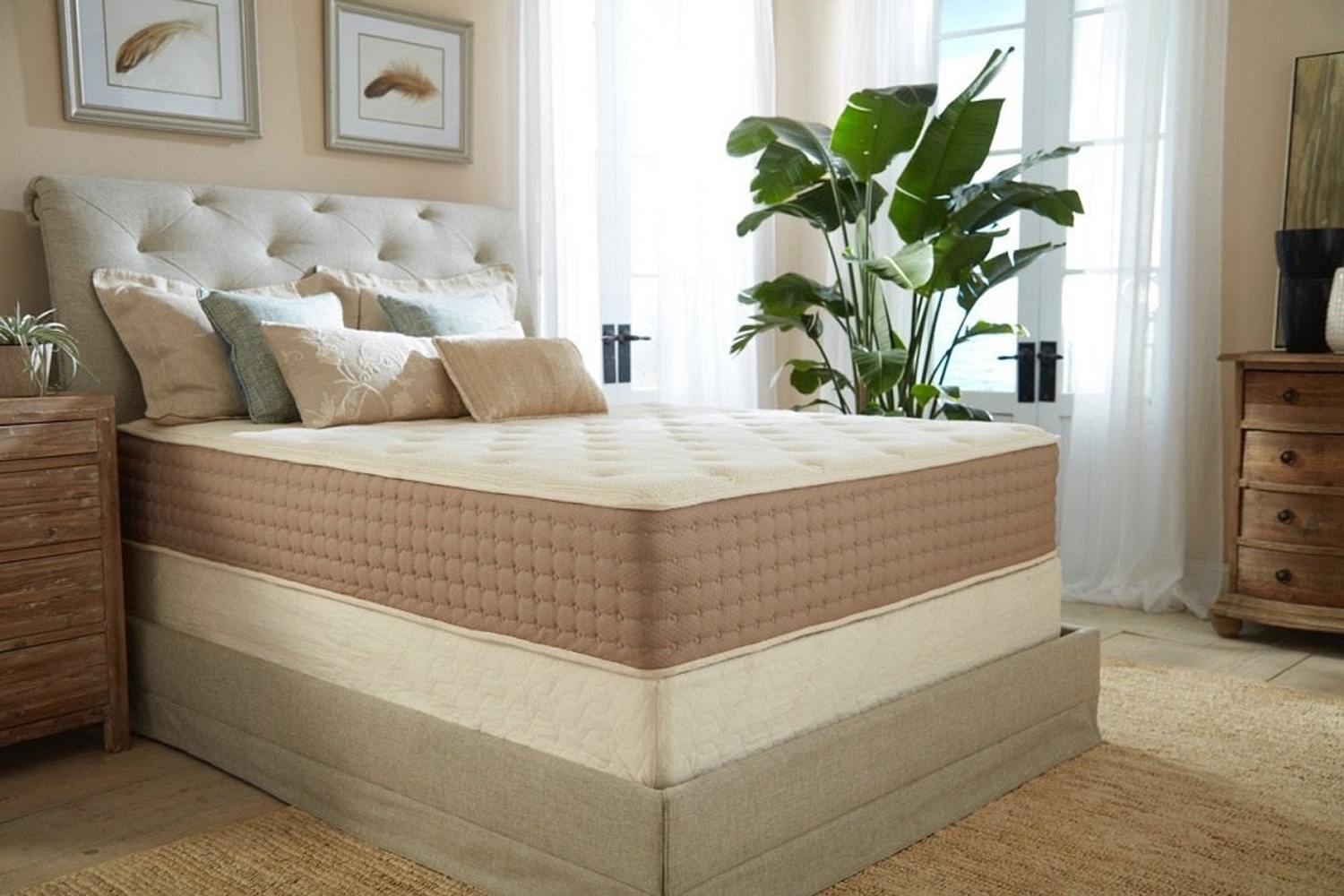 ecoterra hybrid mattress reviews