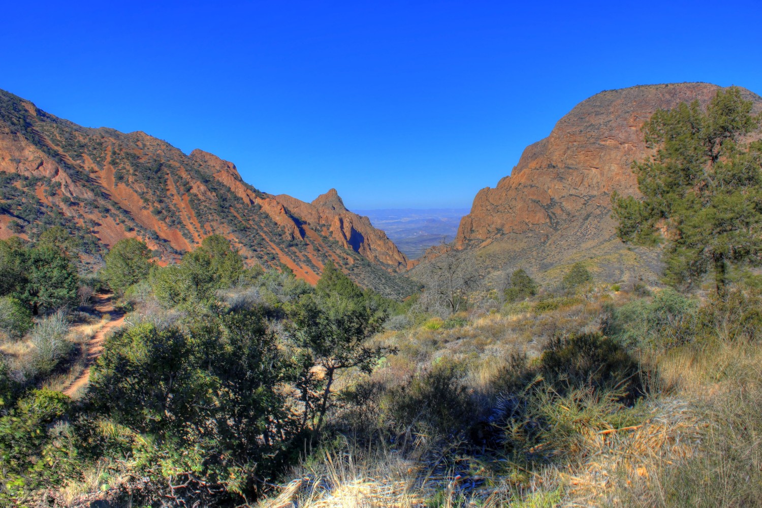 Far Flung Outdoor Center  Best Time to Visit Big Bend National Park