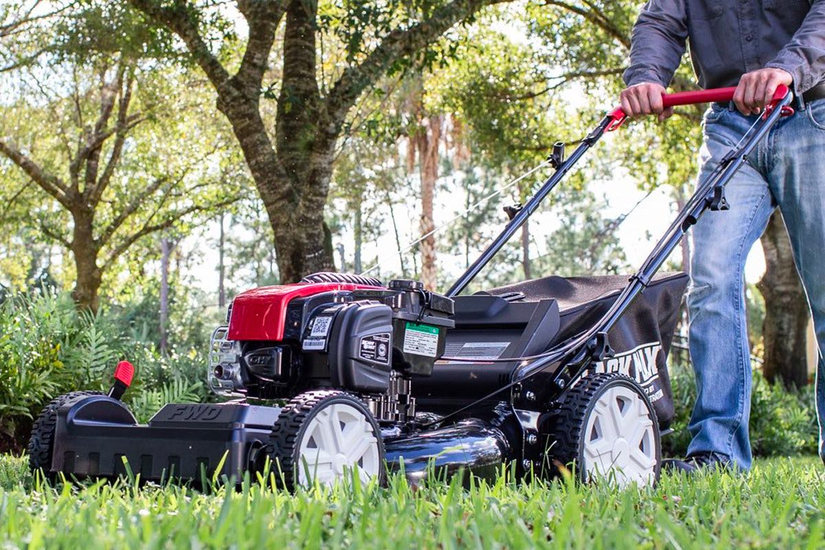 Black max push online mower