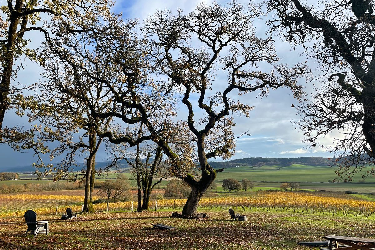 Johan Vineyards estate in Rickreall.