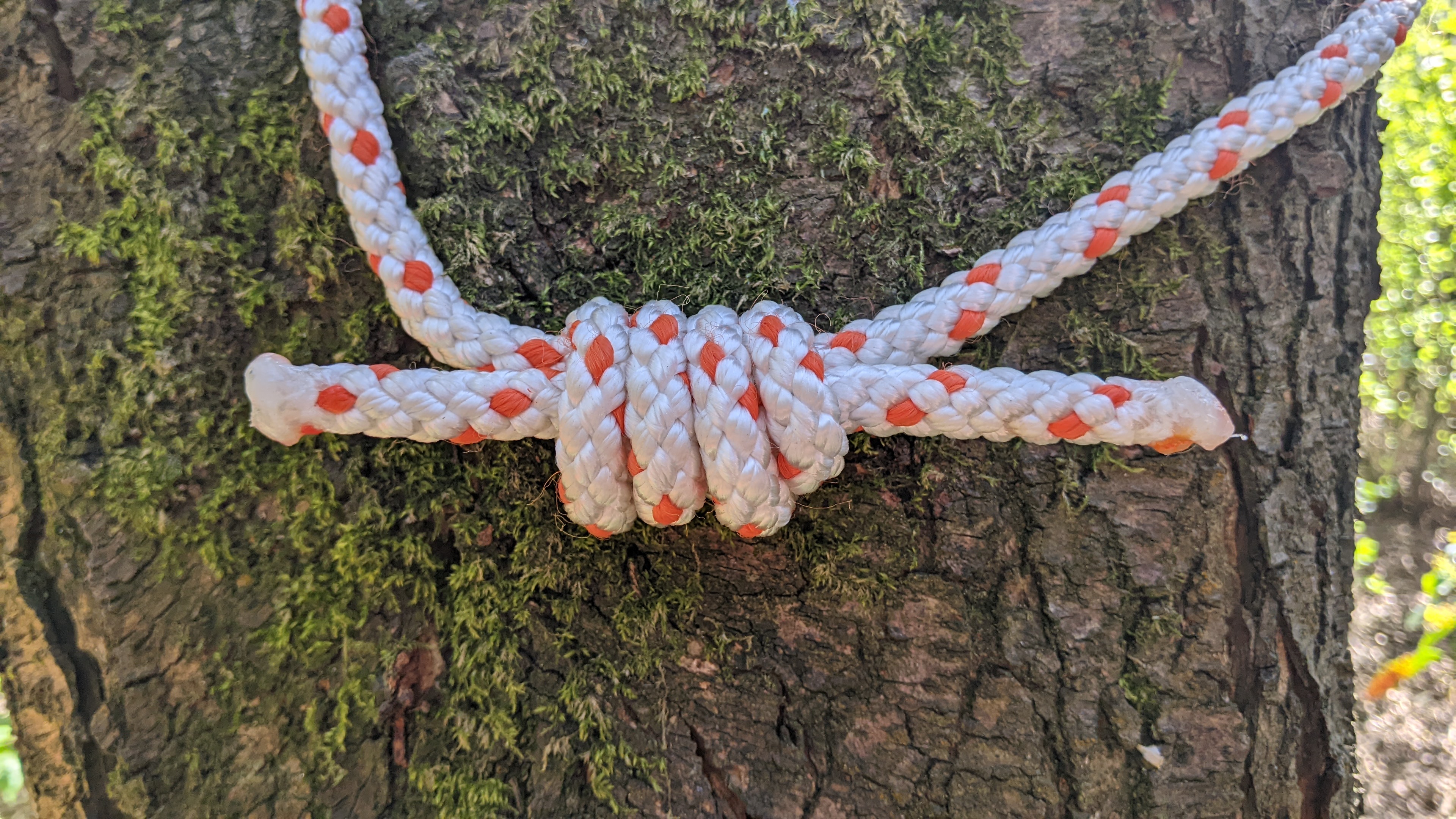 Essential Knots - Outdoors Queensland