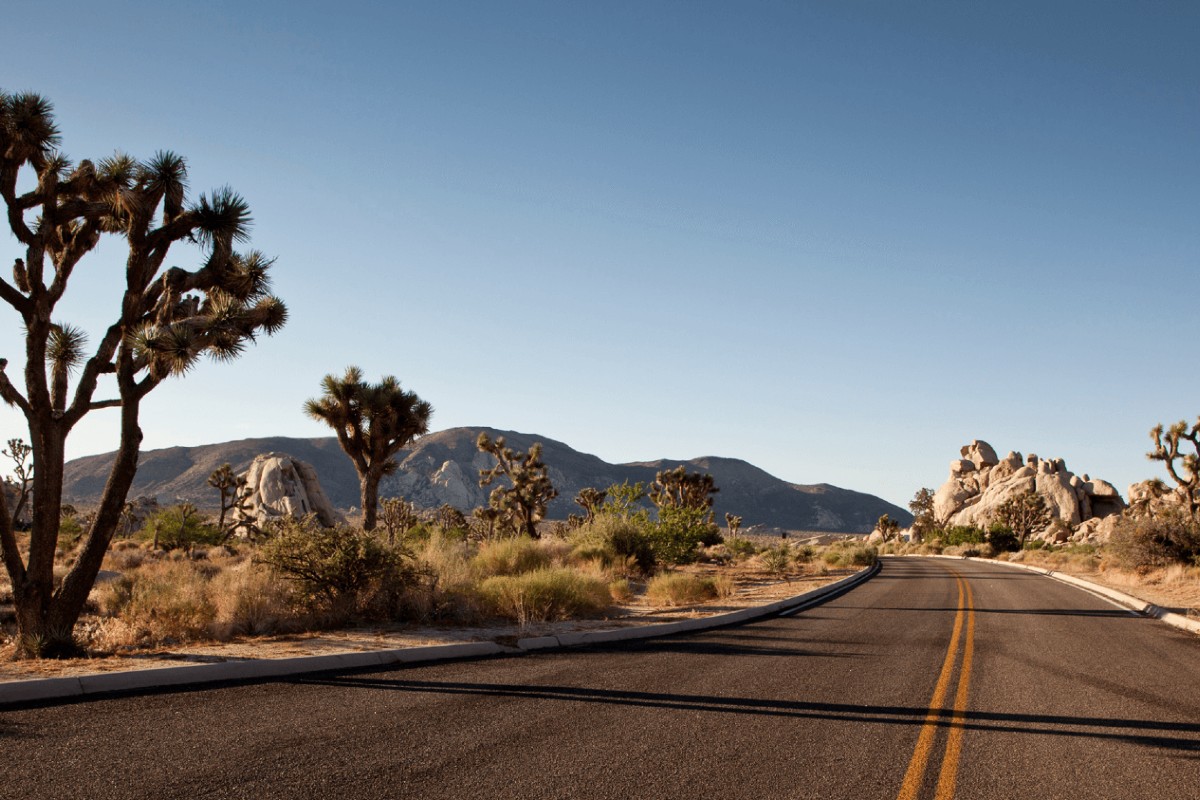 An open road in Joshua Tree National Park symbolizing the Happify app's road to happiness.