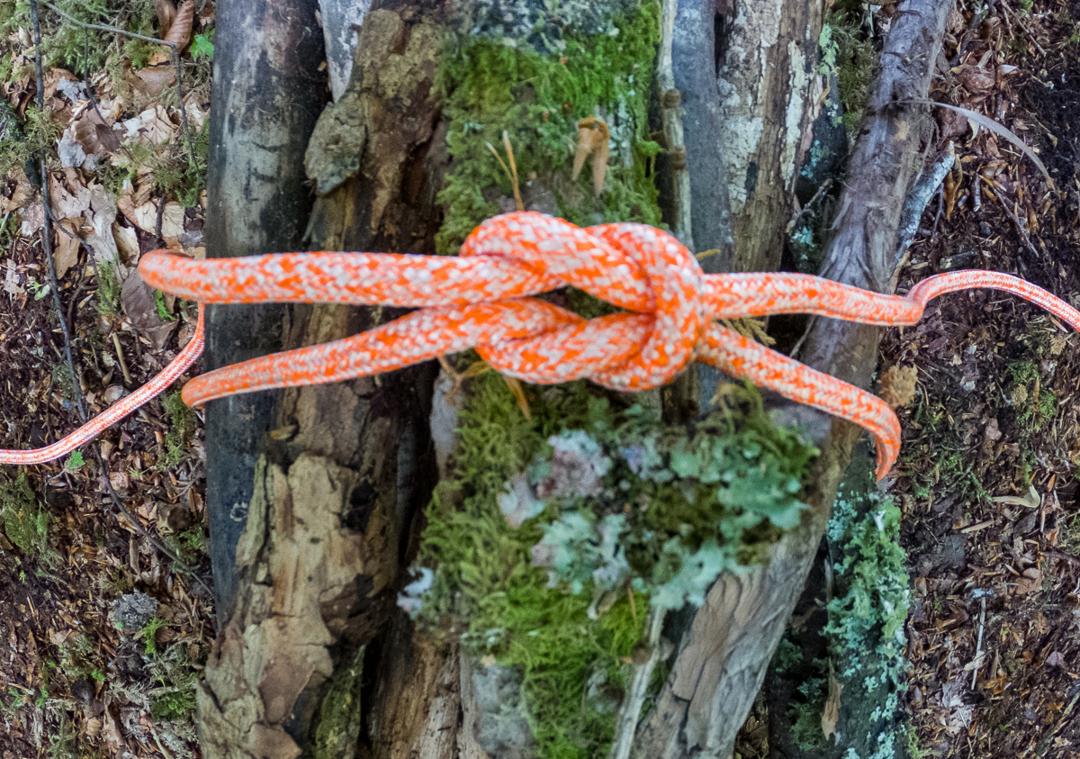 A finished square knot tied around a bundle of firewood