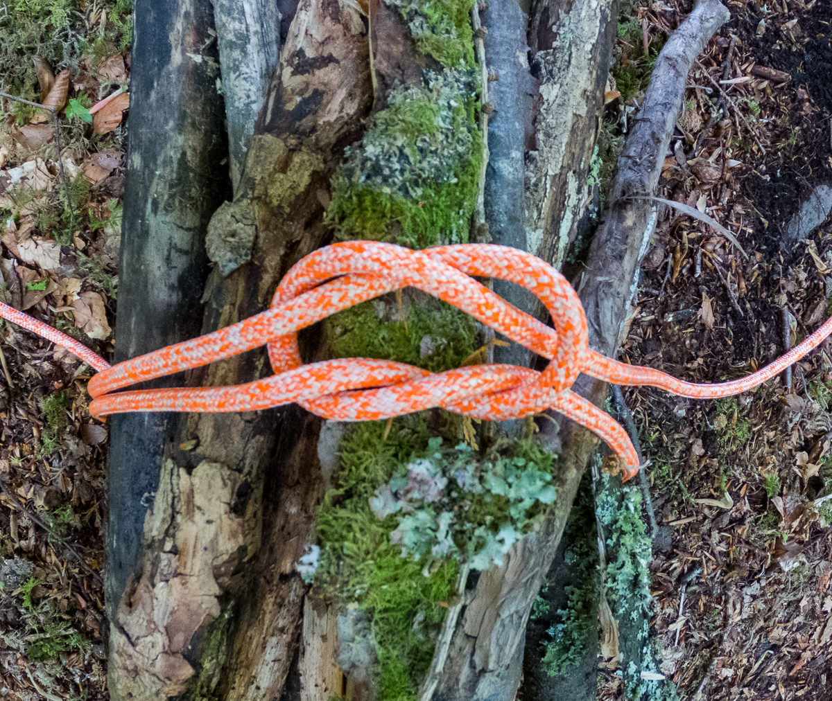 Step 5 of tying a square knot around a bundle of wood