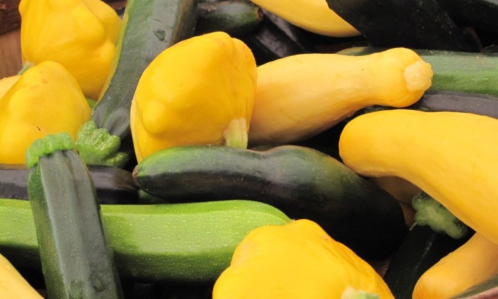 several varieties of summer squash in a bowl