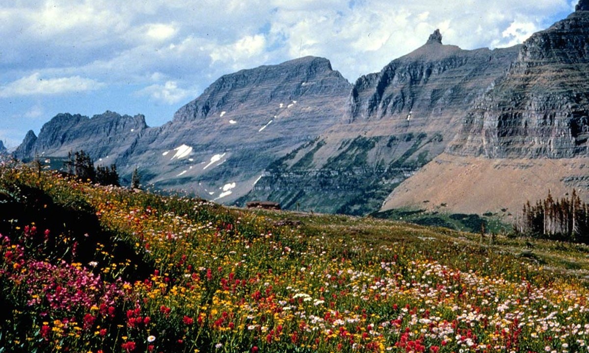 The Garden Wall along the Highline Trail in Glacier National Park.