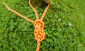 A fully tied figure-eight knot being rethreaded. Yellow and red rope tied around a stump on the grass.