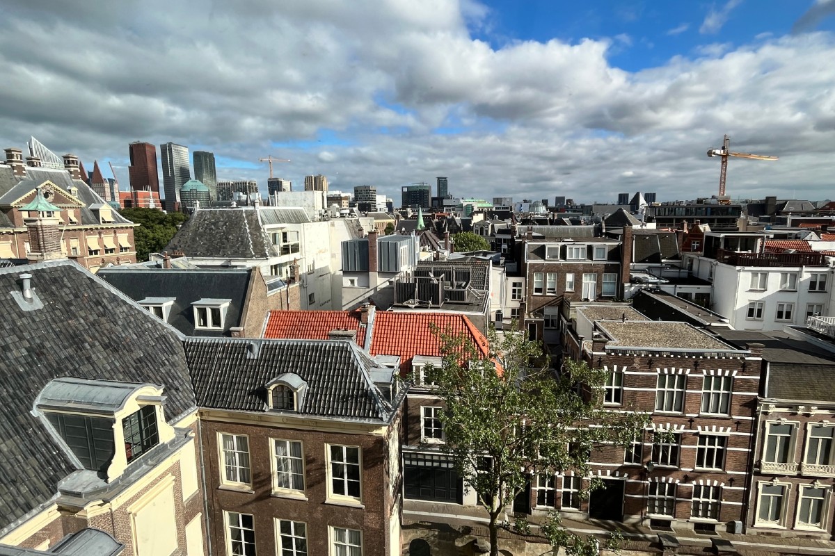 The roofs of the Hague