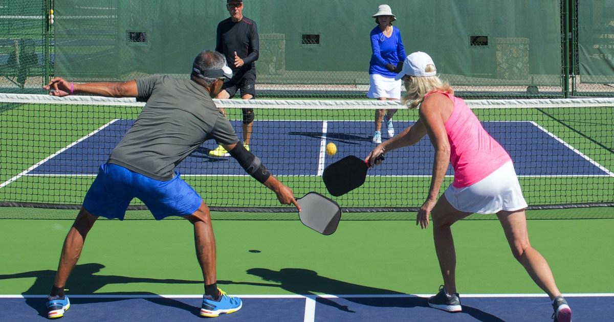 Everything You Need to Know About Minor League Pickleball: A Deep Dive –  ACE Pickleball