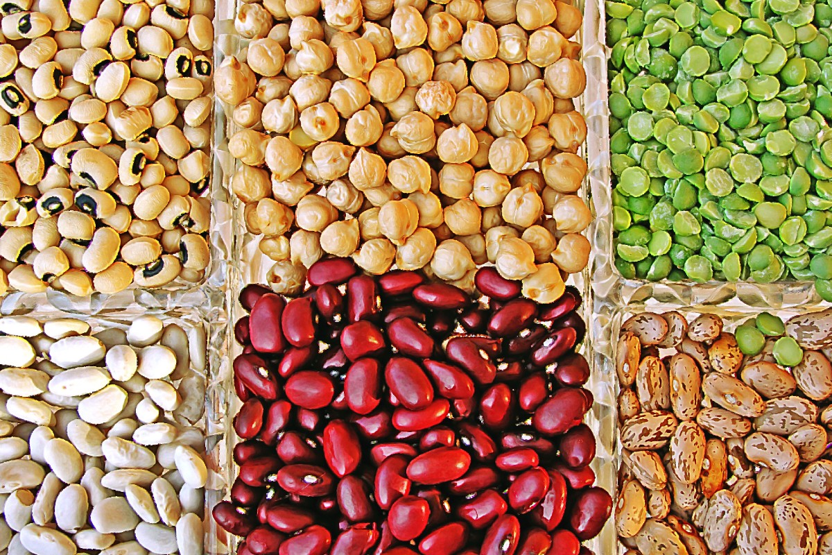 Dried legumes and plant produce.