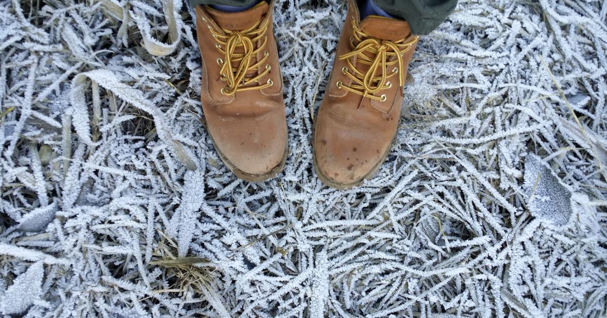 Don’t sacrifice style with winter boots: The key to functional fashion this season