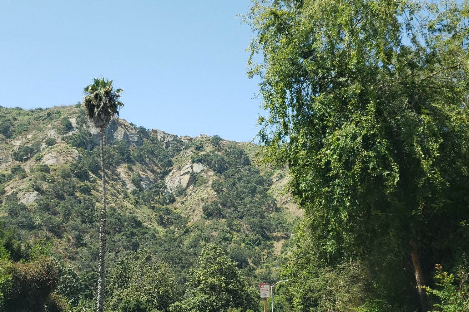 A look at Aliso and Wood Canyons Regional Park in Laguna Beach, California.