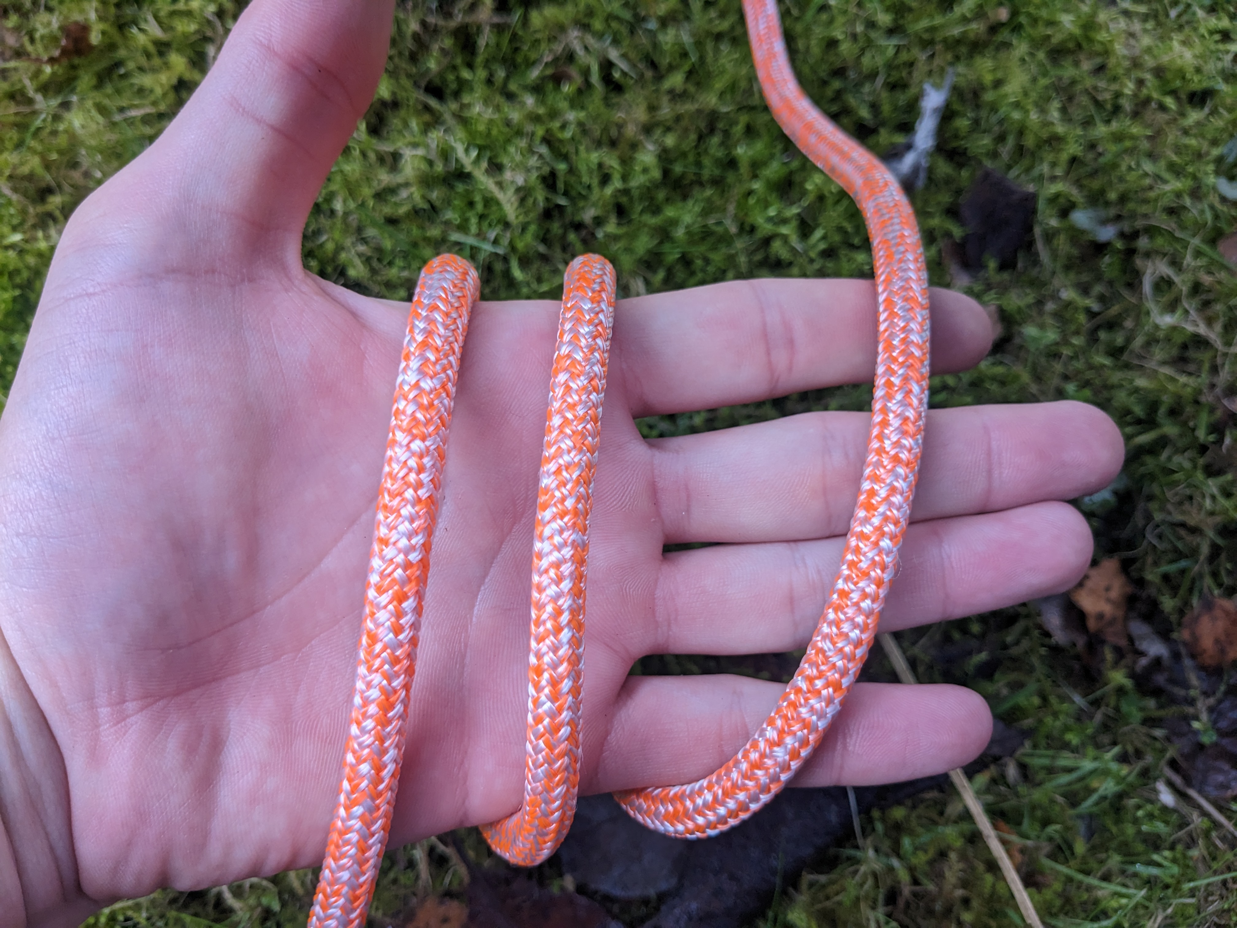 Step 1 tying an alpine butterfly knot