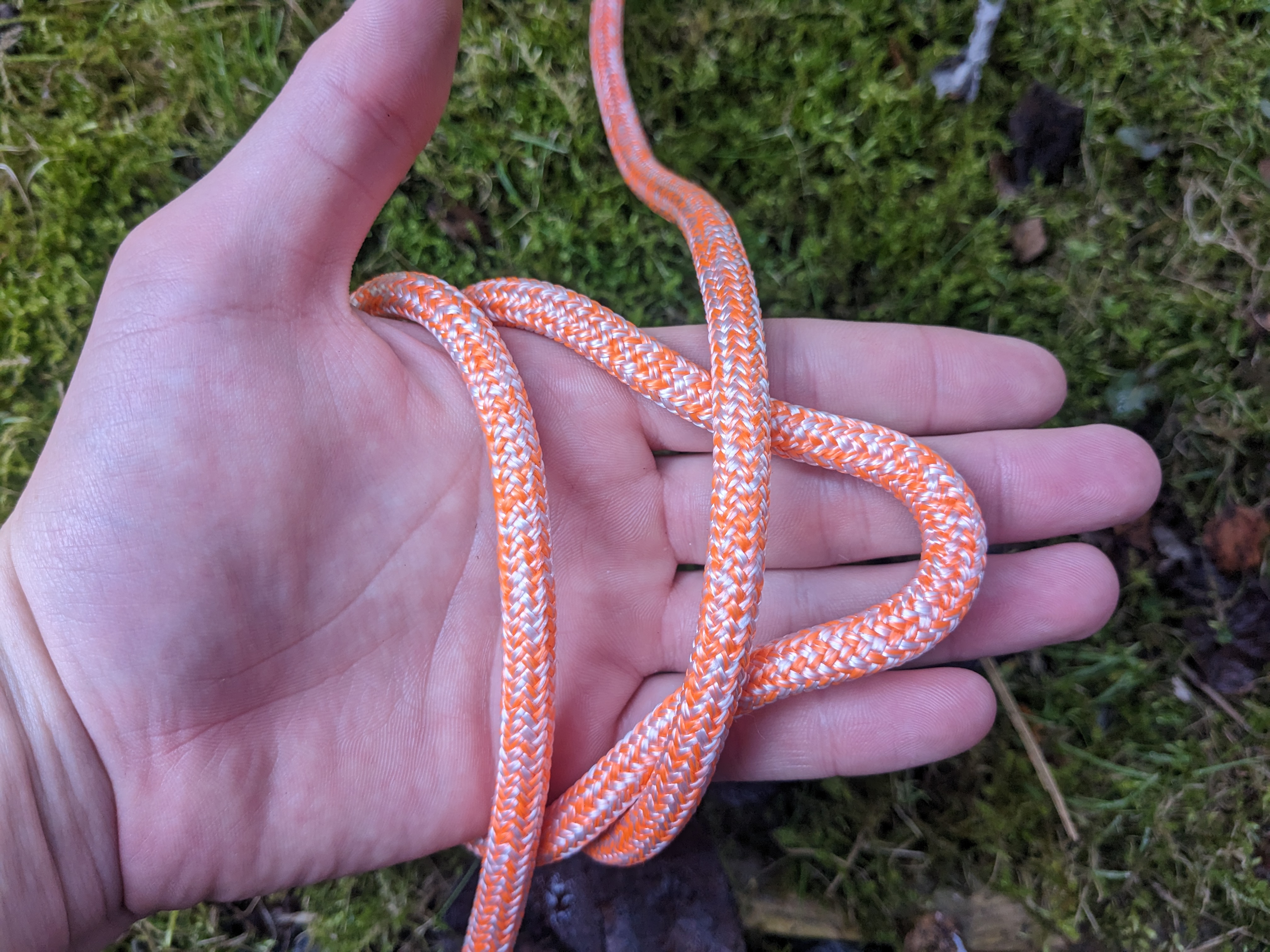 Step 2 tying an alpine butterfly knot