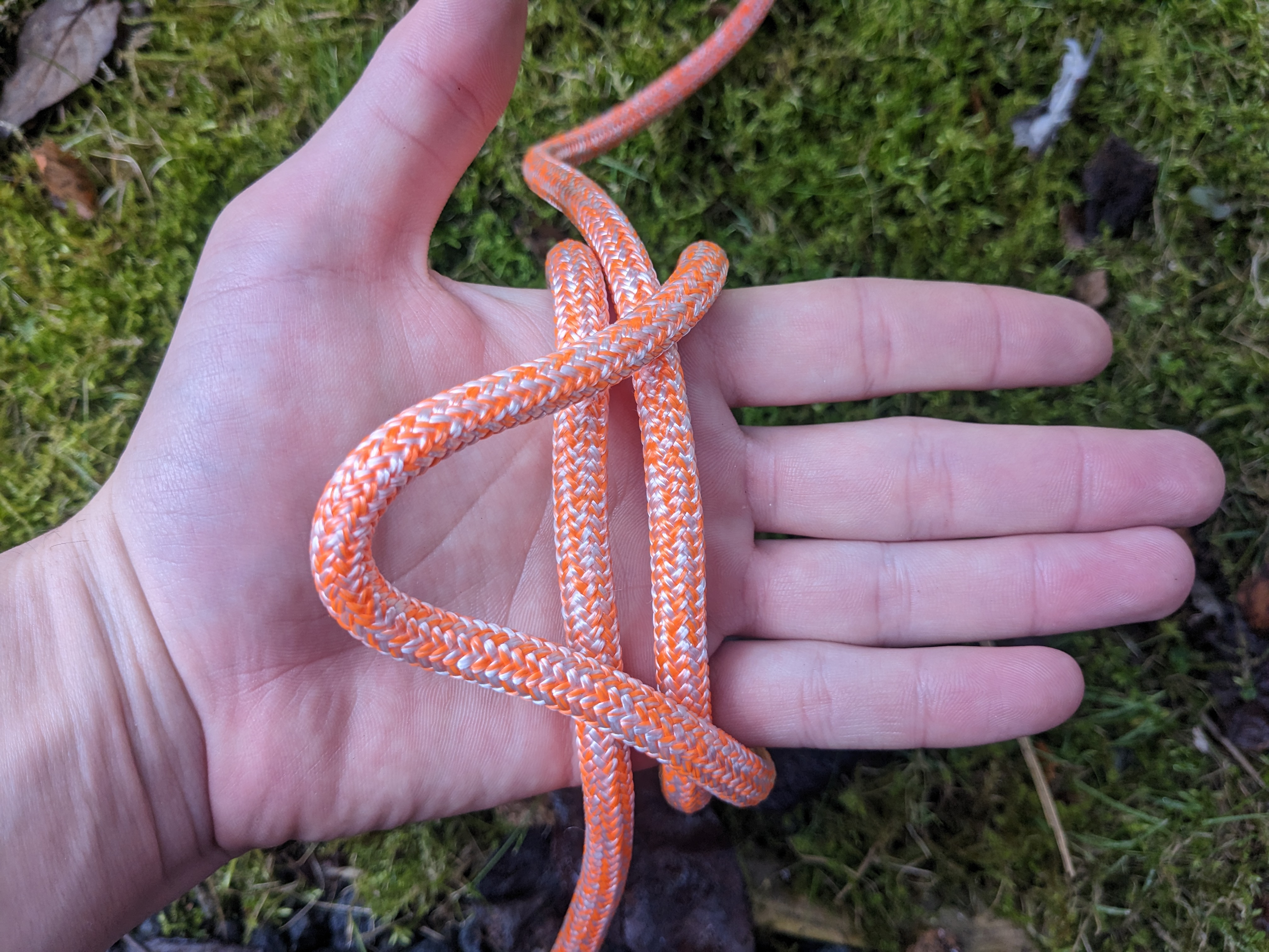 Step 3 tying an alpine butterfly knot