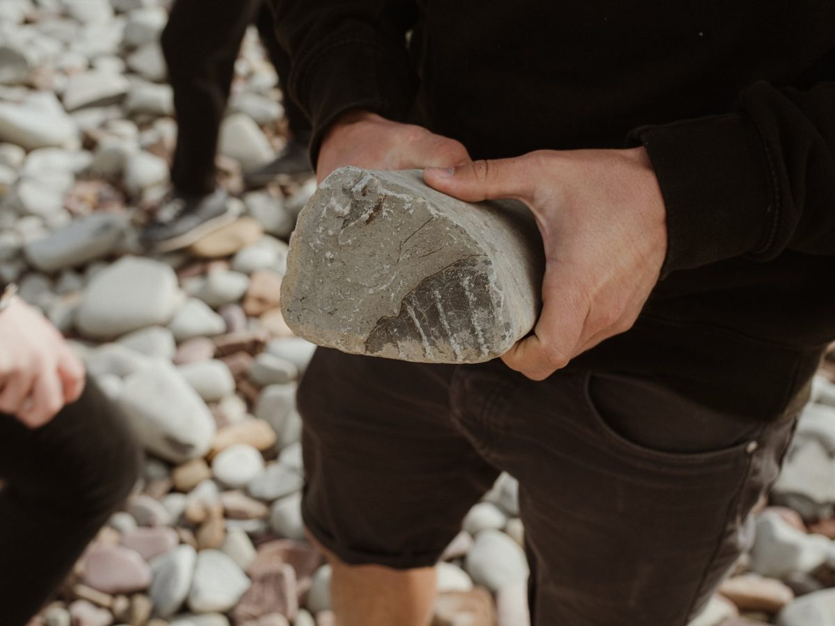 A person holding up a rock that has a fossil imprint on it