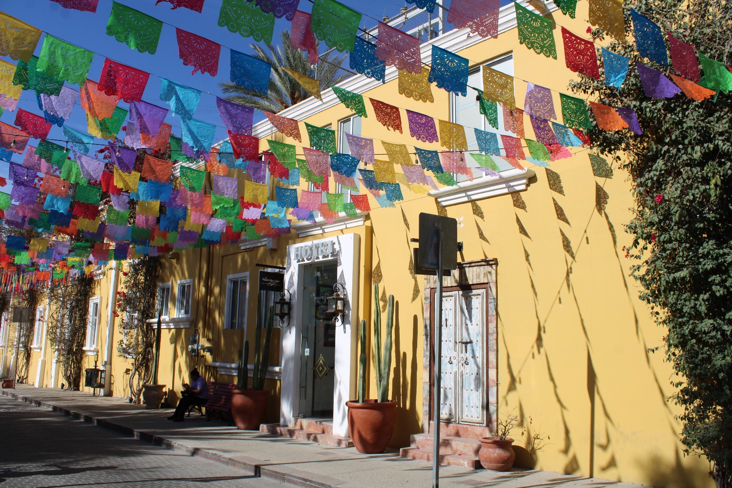 A burst of color above the street in the Gallery District in San José del Cabo, Baja California Sur, Mexico.