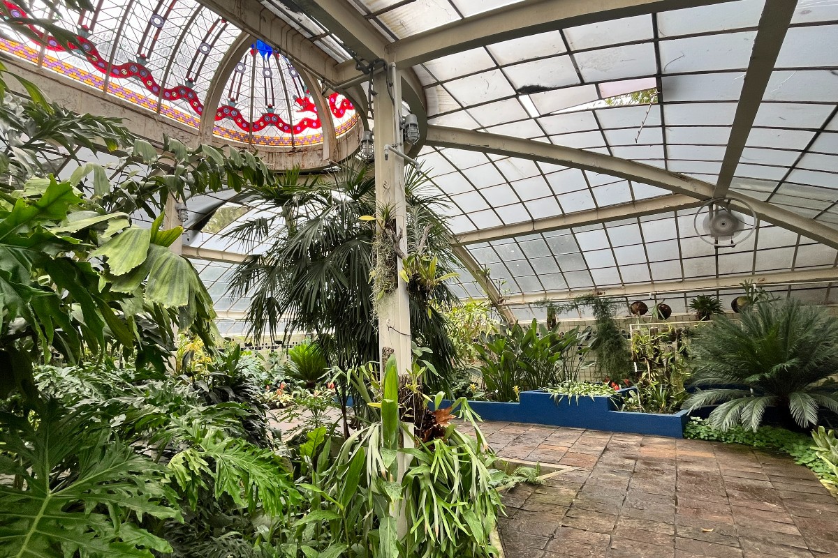 Chapultepec greenhouse.