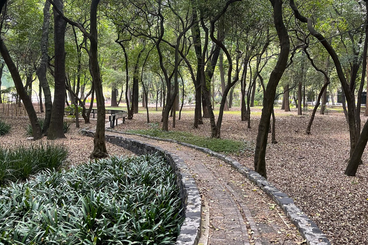 Chapultepec sensory park.