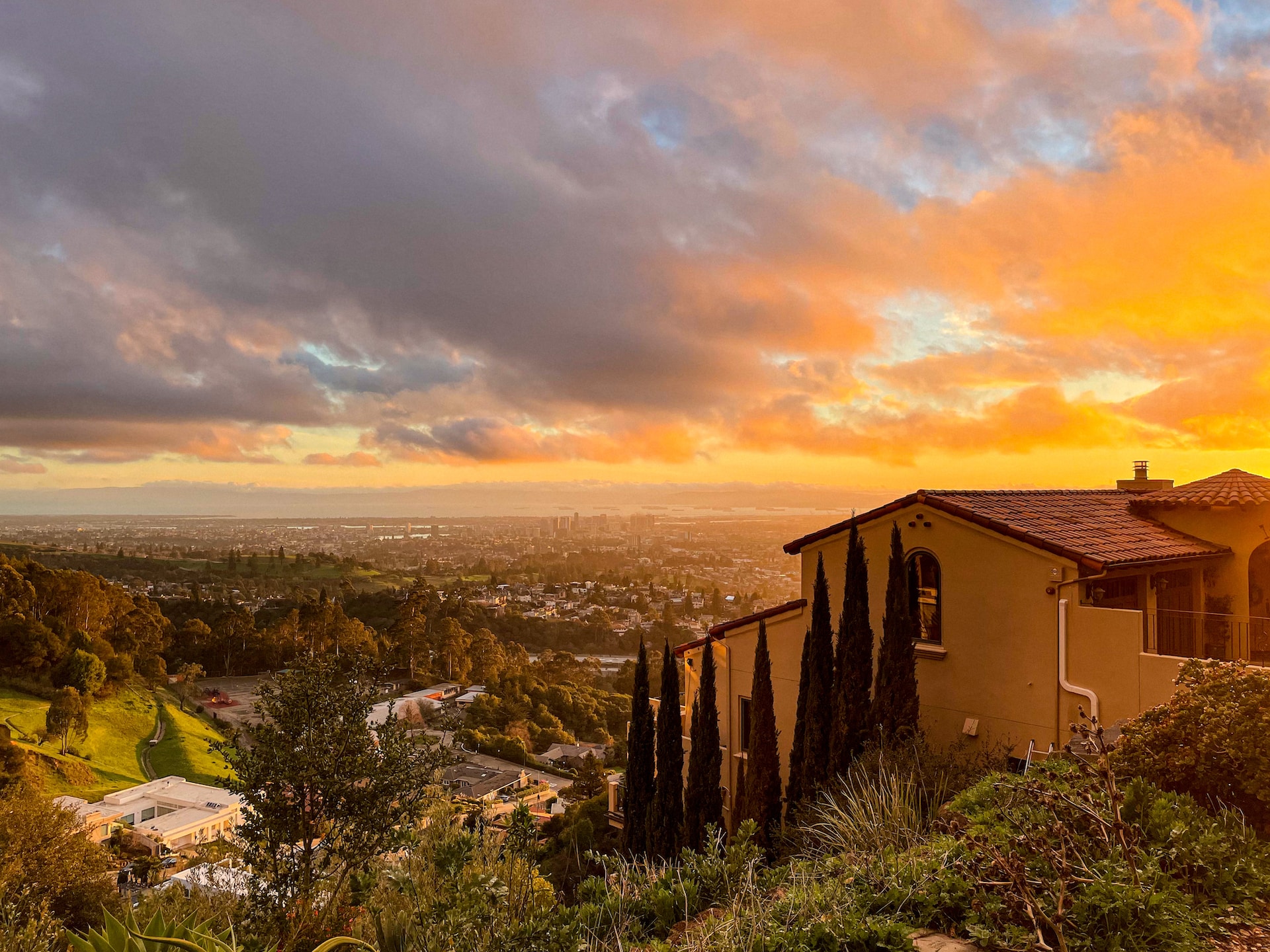 Homes on a lush hillside overlooking Oakland, California.