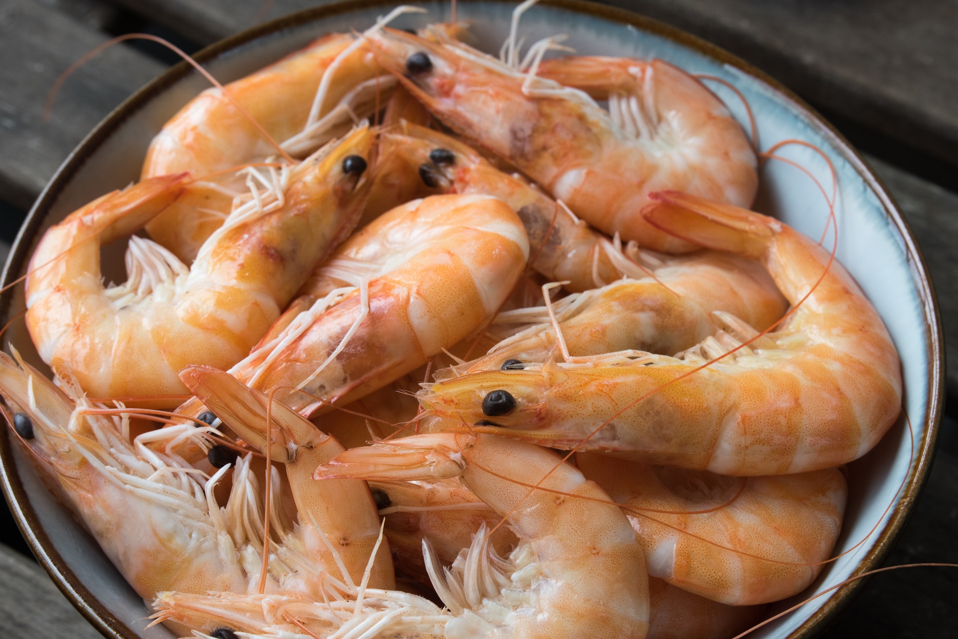 Shrimp in a bowl