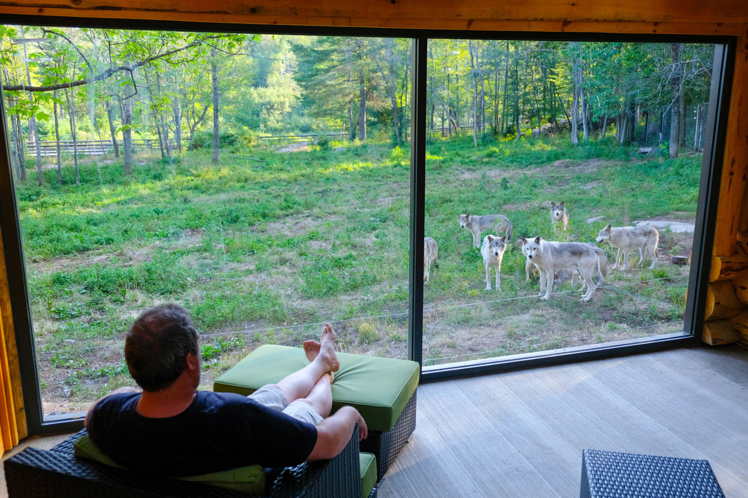 Sleep among a pack of wolves at Canada s luxe adventure Parc Omega