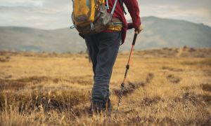 A man walks through a field using walking poles.