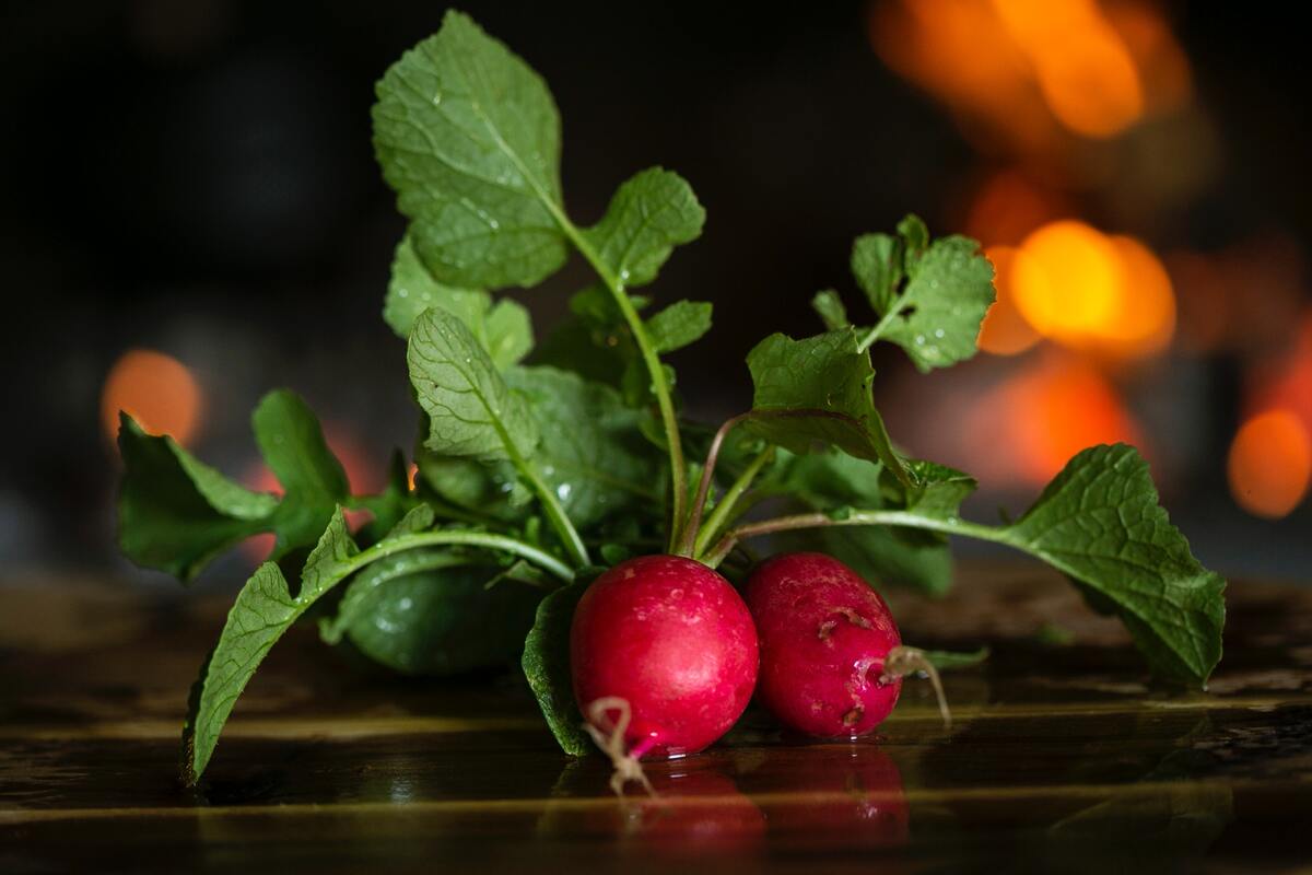 Radishes.