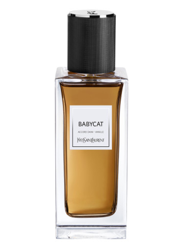 Best saint laurent online cologne