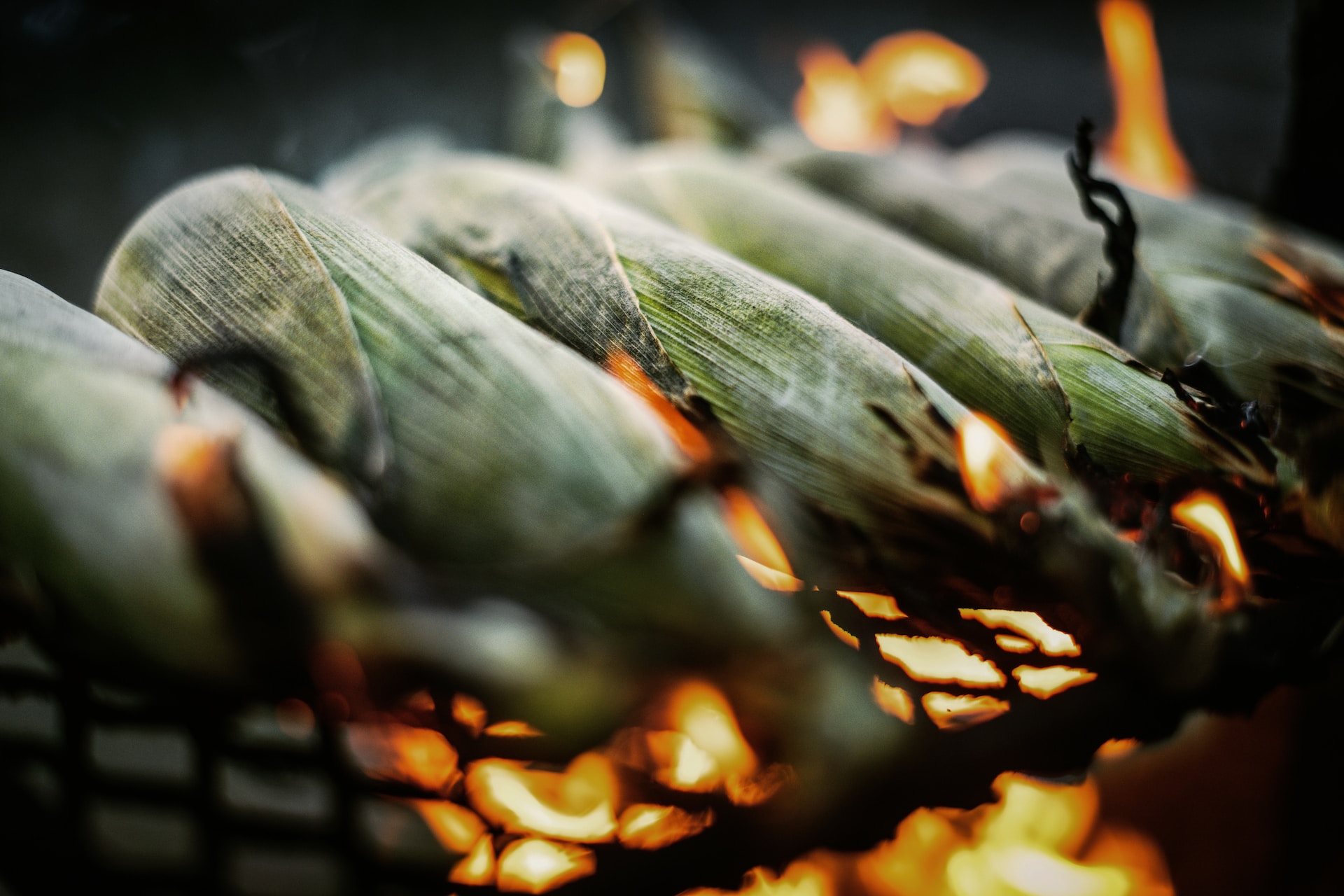 Corn roasting on grill