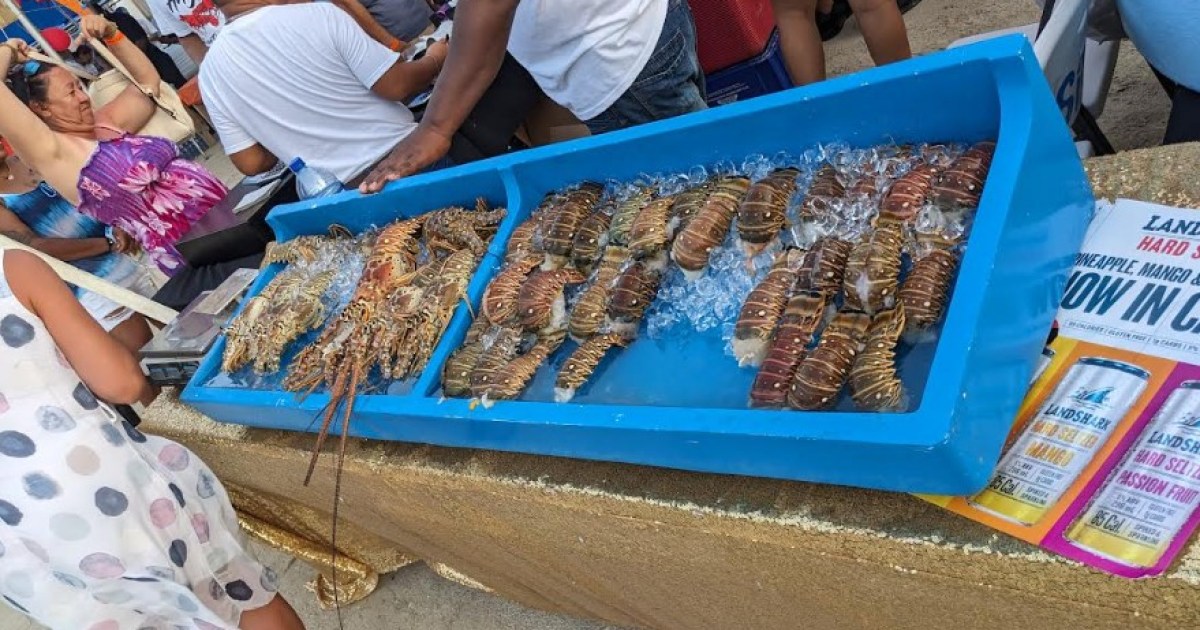 San Pedro, Belize may have the 1 Lobster Fest on earth here's why