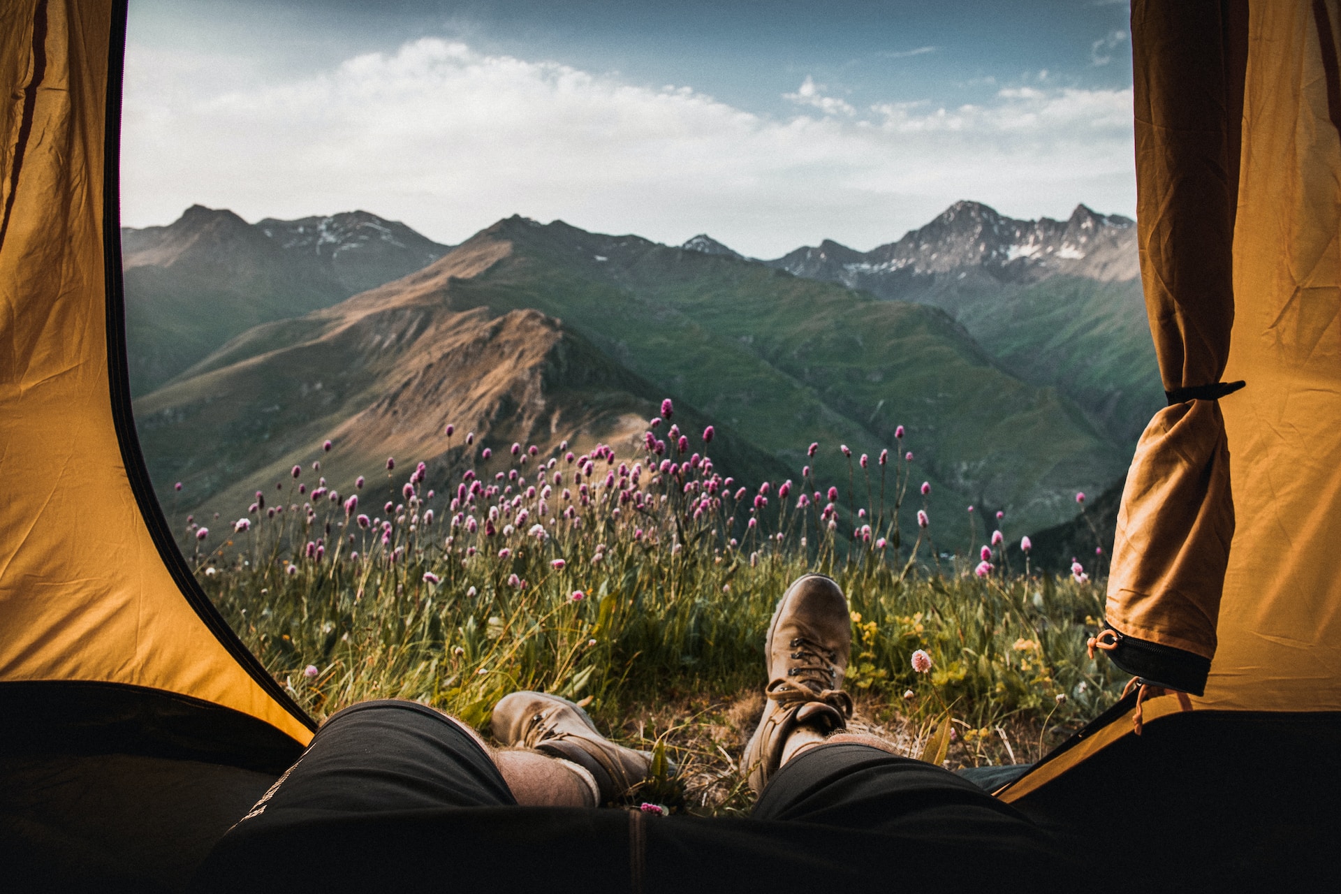 Person lying in a tent looking outside toward mountains and a field of flowers.