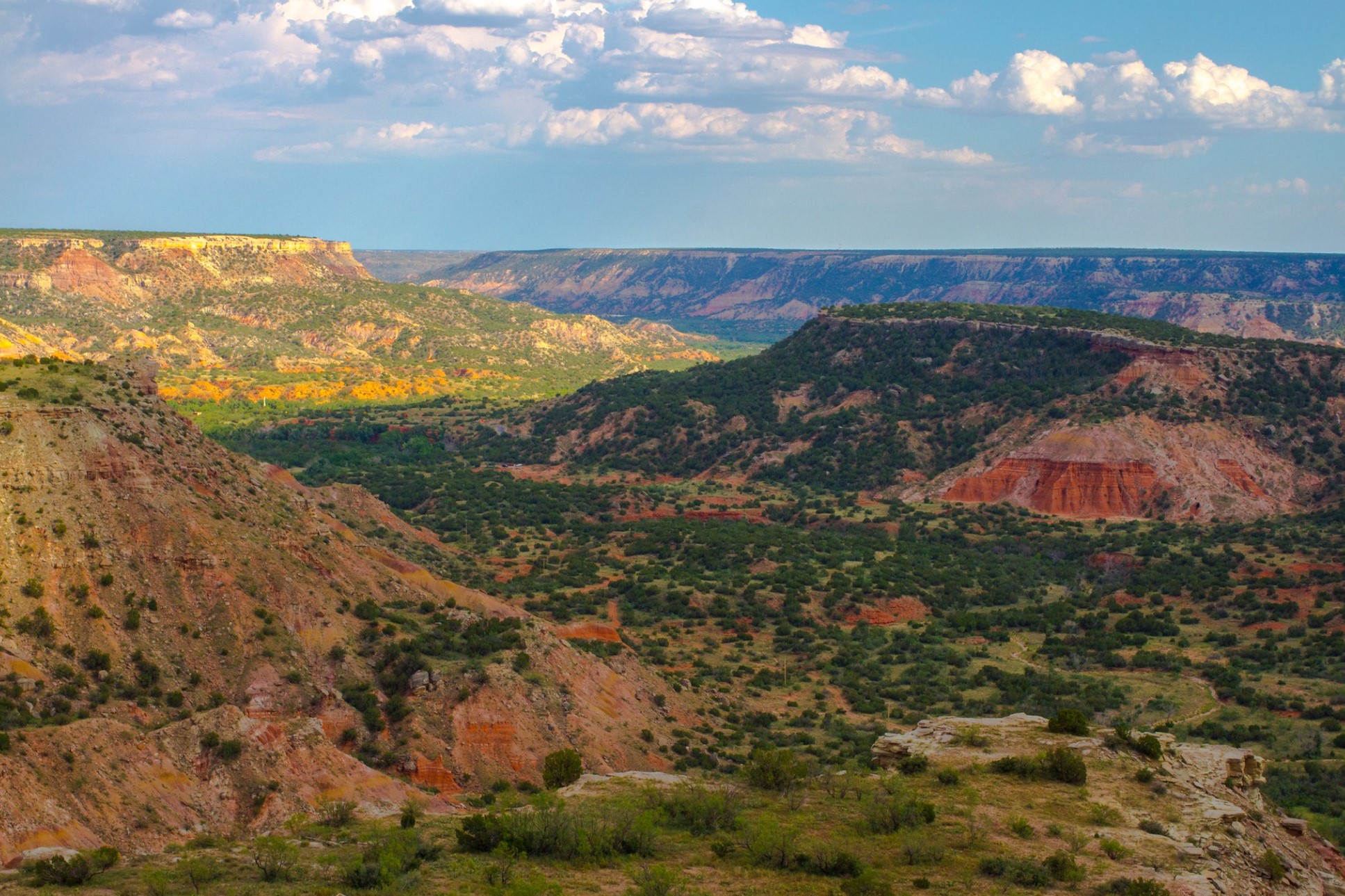 A view of a forrested section of the Canyon in the Palo Duro Canyon