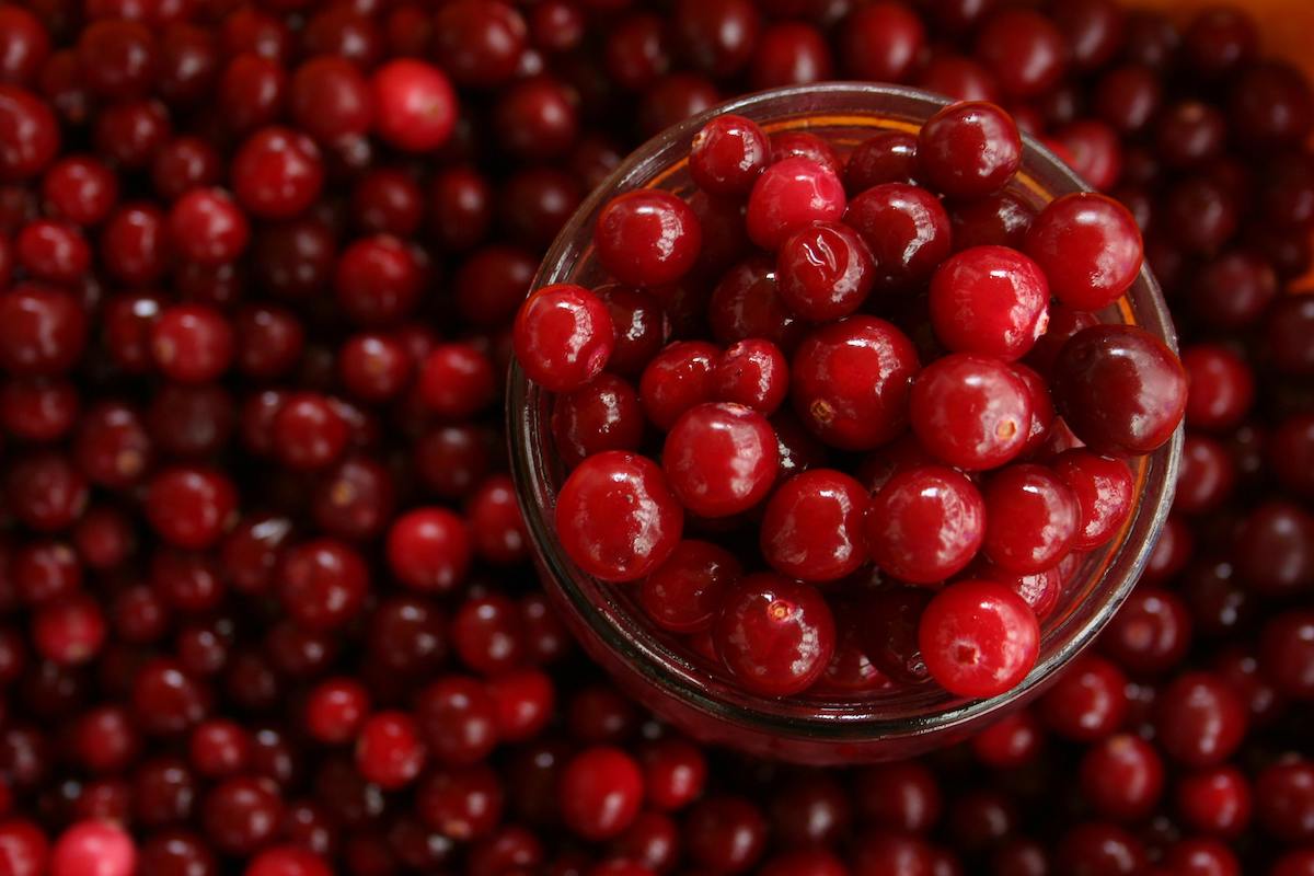 Ask a Specialist - Cranberries: a Healthy Holiday Choice