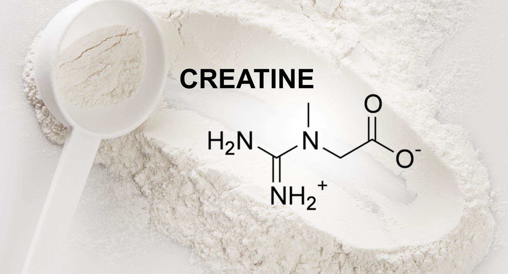 Creatine: A Secret Weapon Against The Cold And Flu? Here's What The ...