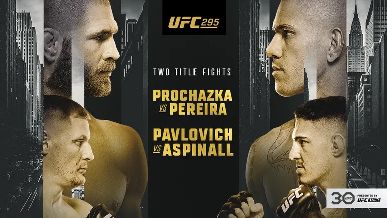 Is there a free UFC 295 live stream How to watch Proch zka vs