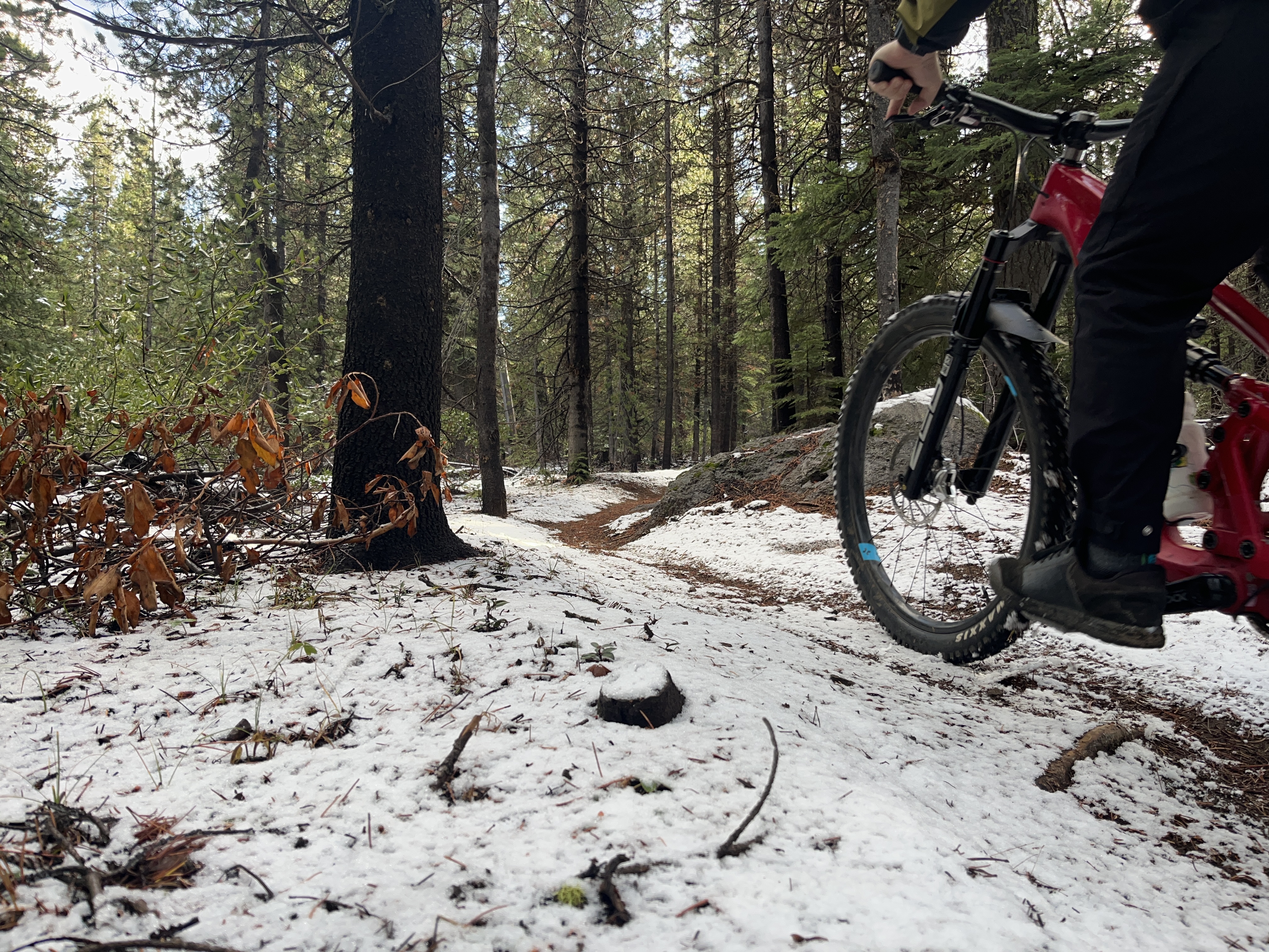 Forge Bond 30AM mountain bike carbon wheelset review Simply put the best I ve ridden The Manual