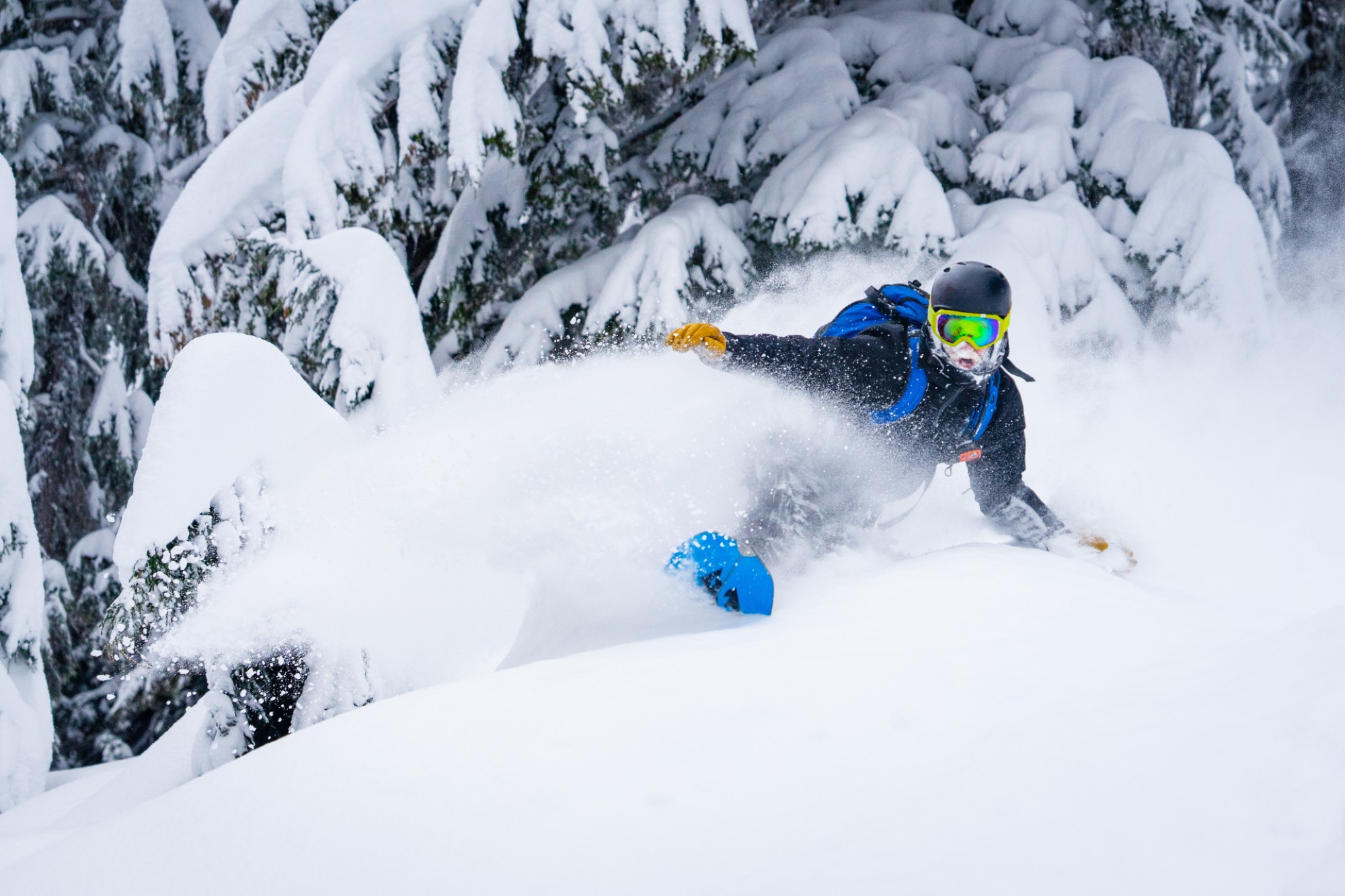 Backcountry powder snowboarding Ben Kitching