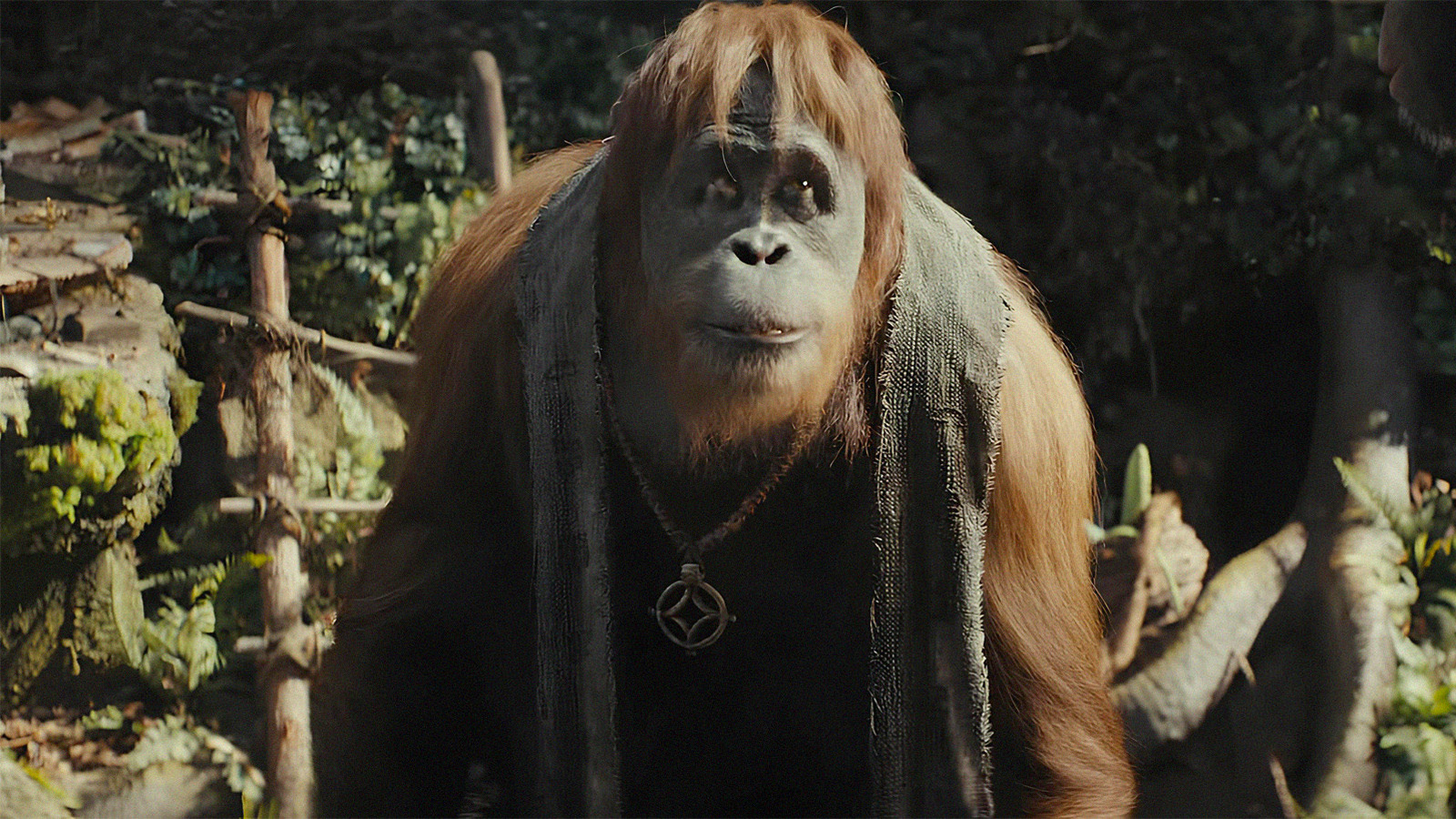 Everything we know about Kingdom of the Planet of the Apes: Trailers ...