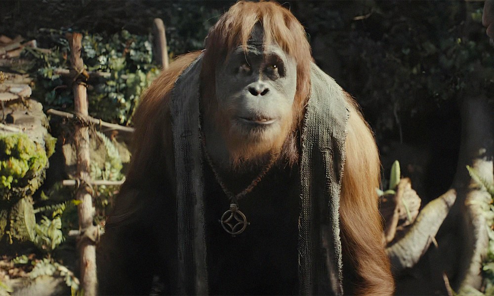 An orangutan in Kingdom of the Planet of the Apes.