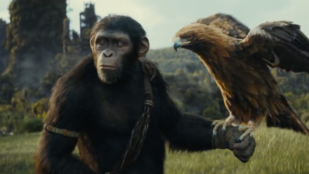 Everything We Know About Kingdom Of The Planet Of The Apes Trailers   Kingdom Of The Planet Of The Apes 