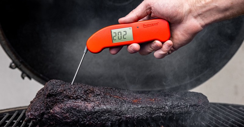 Williams-Sonoma Meat Thermometer Fork