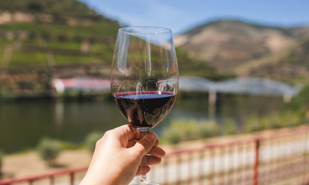 Person holding red wine glass