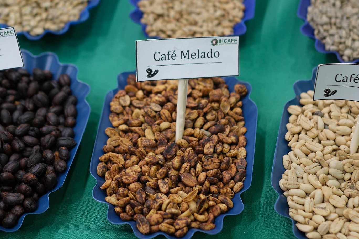 An assortment of roasted coffee beans.